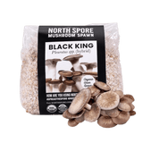 Organic Black King Mushroom Grain Spawn