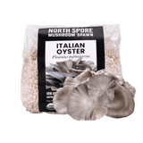 Organic Italian Oyster Mushroom Grain Spawn