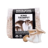 Organic King Trumpet Mushroom Grain Spawn