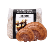 Organic Red Reishi Mushroom Grain Spawn