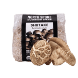 Organic Shiitake Mushroom Grain Spawn