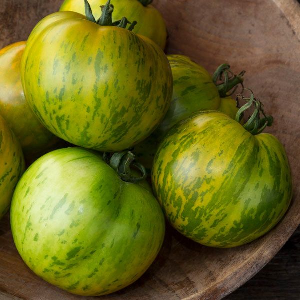 Green Zebra Tomato