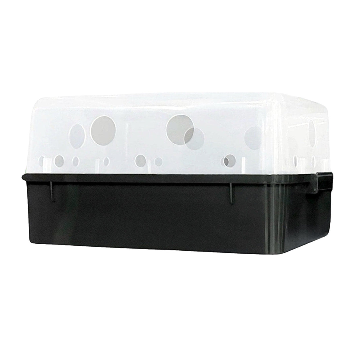Beginner Automated 'Boomr Bin' + Fruiting Blocks Monotub Mushroom Grow Kit
