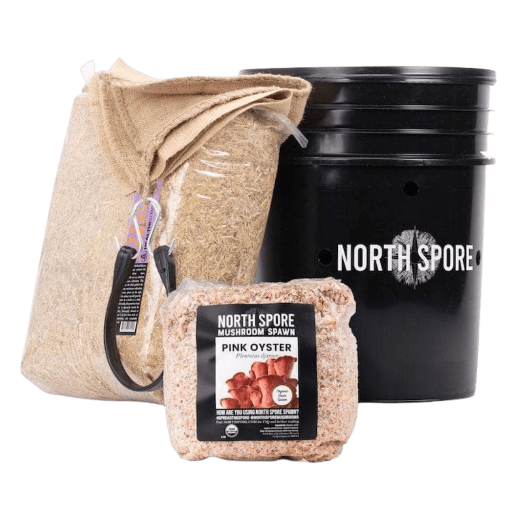 'MushBucket' Mushroom Bucket Grow Kit