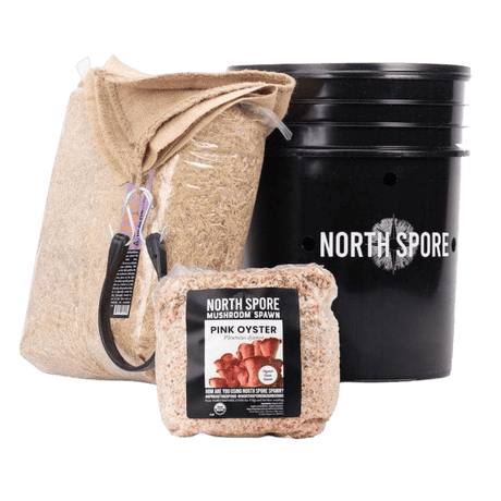 'MushBucket' Mushroom Bucket Grow Kit