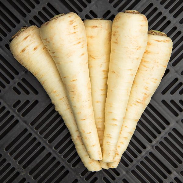 Halblange Parsnip