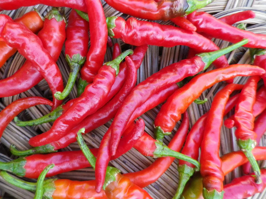 Cayenne Long Red Peppers