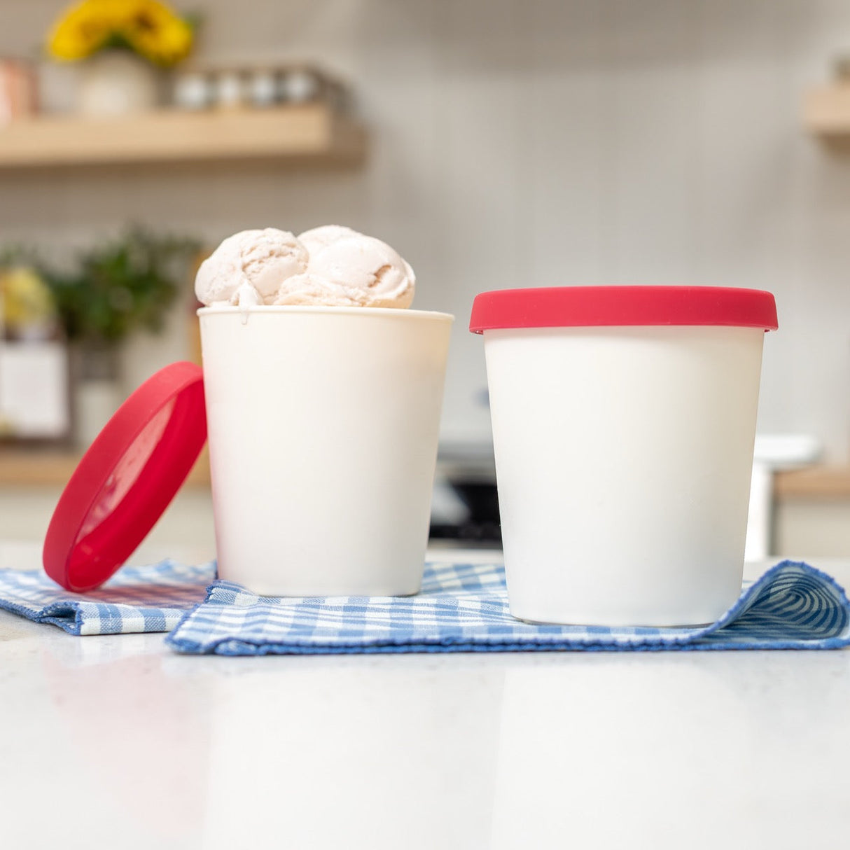 Ice Cream Containers - 1 Quart (2-Pack)