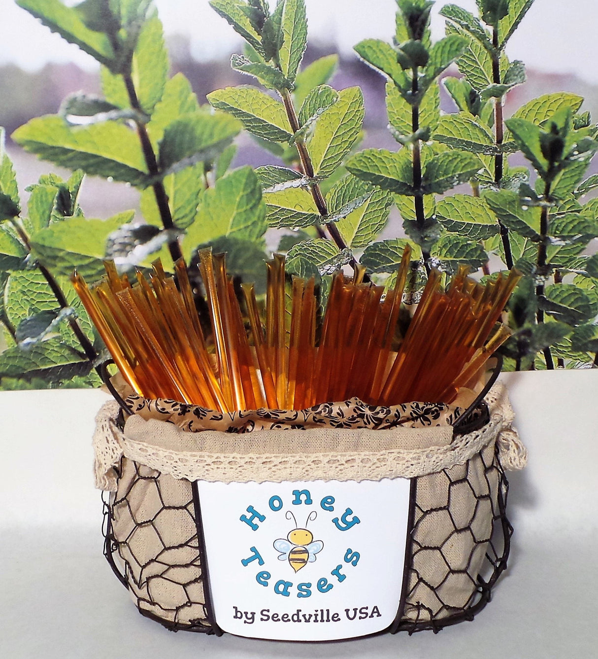 5 Pack MINT HONEY TEASERS Natural Honey Snack Sticks Honeystix Straws