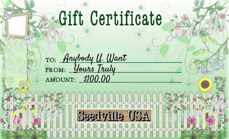 Seedville USA Shop Gift Certificate - Garden Gate Design - By Email or Postal Mail - You Choose Amount
