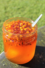 100 SEABERRY Sea Buckthorn Elaeagnus Hippophae Rhamnoides Orange Berry Fruit Shrub Yellow Flower Silver Foliage Seeds