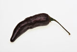 20 ROYAL BLACK PEPPER Capsicum Annuum Very Hot Chilli Vegetable Seeds