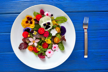 EDIBLE FLOWER MIX Seeds - 16 Types: Marigold Daisy Viola Safflower Alyssum Hyssop Hollyhock Cornflower Sweet William Nasturtium Basil + More