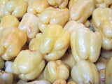 50 WHITE CLOUD BELL PEPPER Sweet Mild Capsicum Annuum Vegetable Seeds
