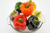 150 RAINBOW BELL PEPPER Sweet Red, Green, Yellow, Orange, Purple, Brown, & White Capsicum Annuum Vegetable Seeds