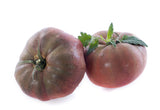 80 BLACK KRIM TOMATO Solanum Lycopersicum Indeterminate Heirloom Beefsteak Fruit Vegetable Seeds