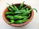 50 SHISHITO PEPPER Green to Red Mild Japanese Chili Capsicum Annuum Vegetable Seeds