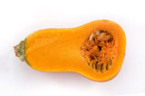 25 Organic HONEYNUT SQUASH aka Honey Butternut Squash Sweet Cucurbita Moschata Baby Buttercup Tan Skin Orange Flesh Seeds