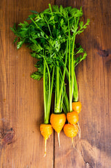 800 PARISIAN CARROT Parisienne Carrot Daucas Carota Sativus Orange Vegetable Seeds