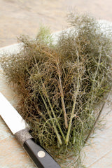 100 Organic BRONZE FENNEL Foeniculum Vulgare Purpureum Herb Bronze Foliage Yellow Flower Seeds
