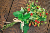 80 California WOODLAND STRAWBERRY Fragaria Vesca Bracteata Pacific Native Strawberry Red Berry Fruit White Flower Seeds