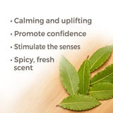 Laurel Leaf Essential Oil