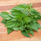 Lemon Basil