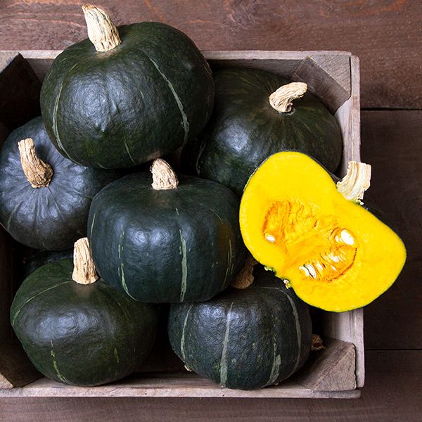 Burgess Buttercup Squash