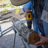 Mushroom Log Beginner Bundle