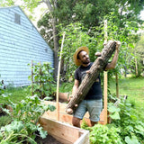 Mushroom Log Beginner Bundle