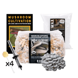 Mushroom Log Beginner Bundle