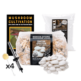 Mushroom Log Beginner Bundle