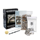 Organic Blue Oyster Mushroom Log Kit