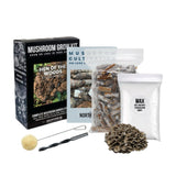 Organic Hen of the Woods (Maitake) Mushroom Log Kit
