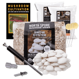 Sawdust Spawn Complete Mushroom Log Kit