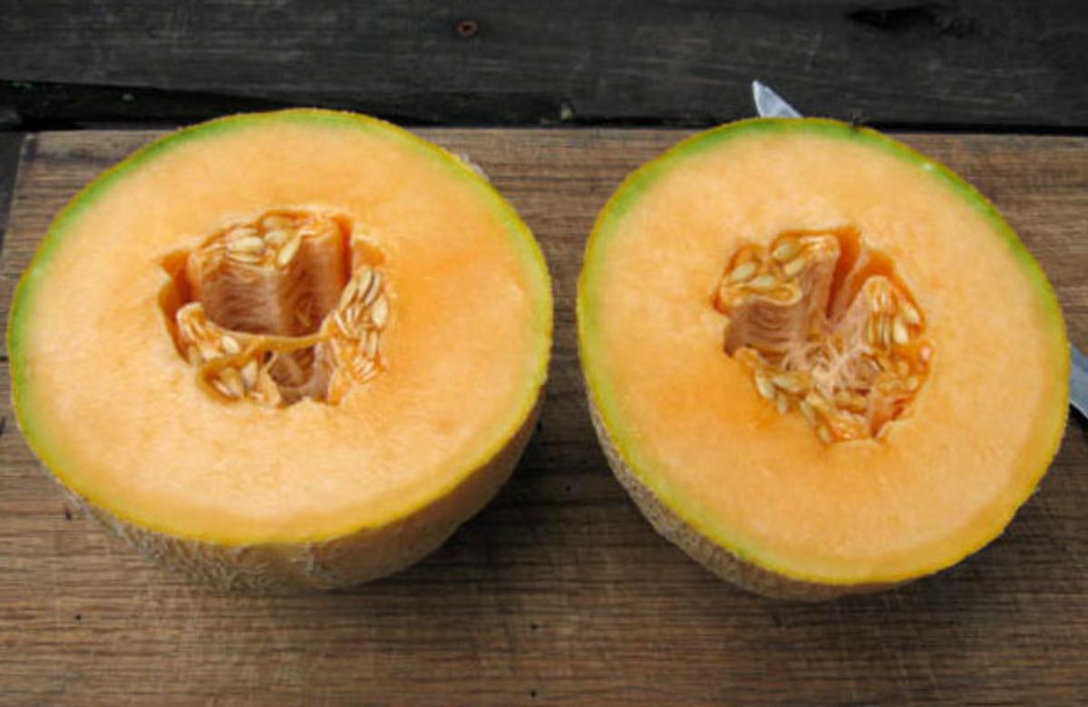 Kansas Muskmelon