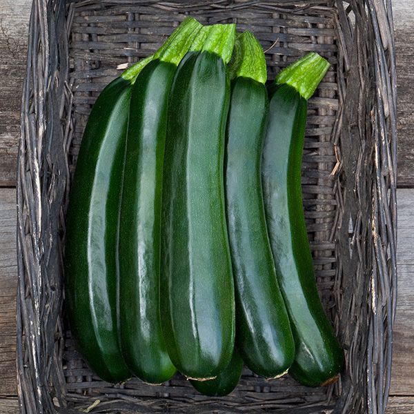 Midnight Lightning Zucchini