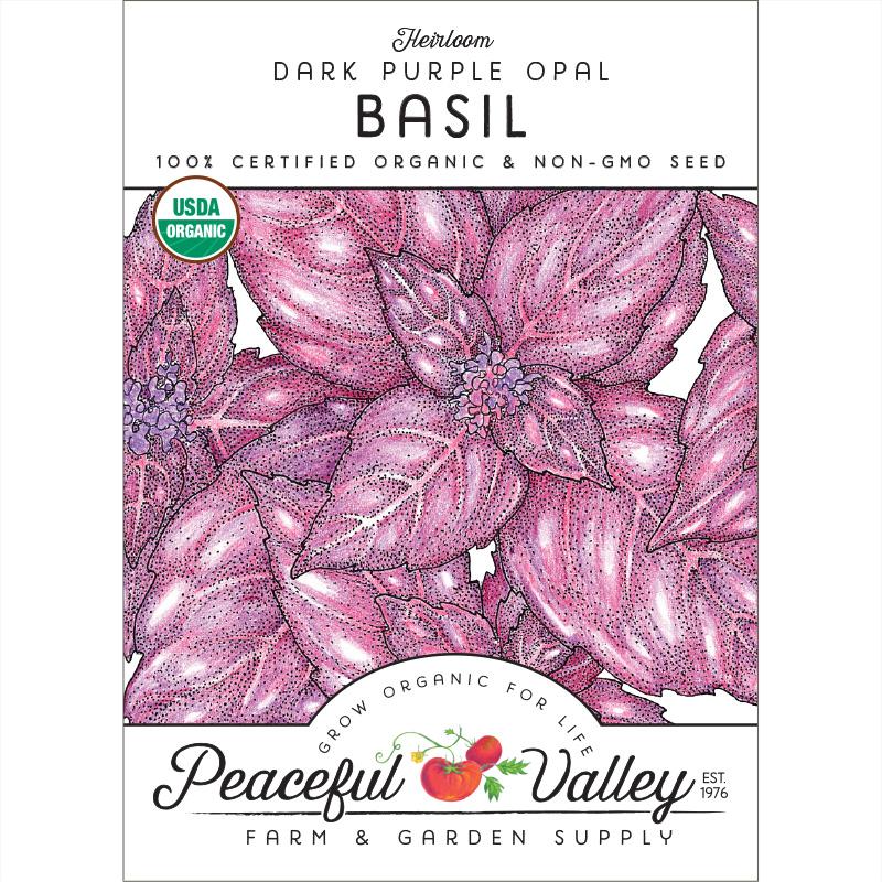 Organic Basil, Dark Purple Opal (pack)