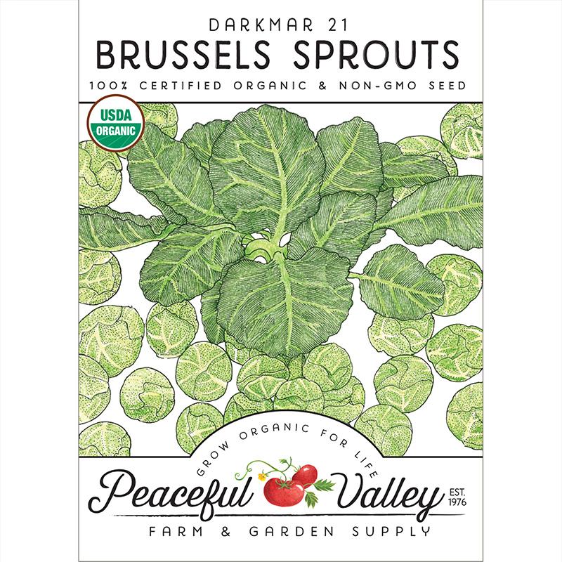 Darkmar 21 Brussels Sprouts