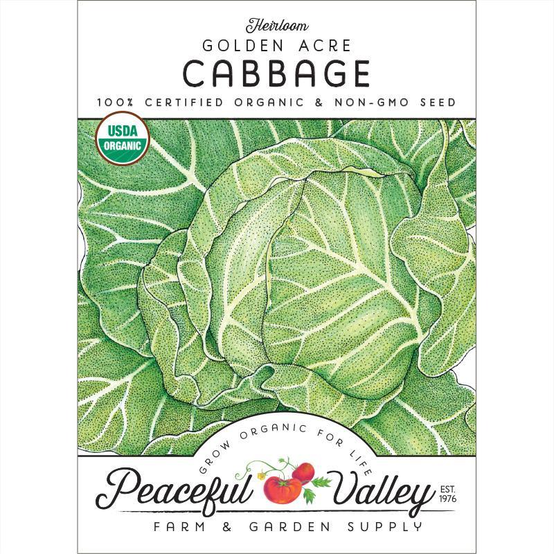 Golden Acre Cabbage
