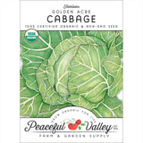Golden Acre Cabbage
