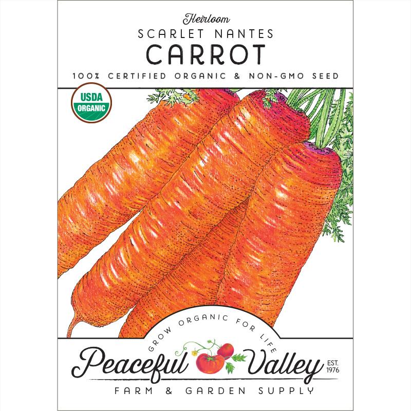 Scarlet Nantes Carrot Seeds (Organic)