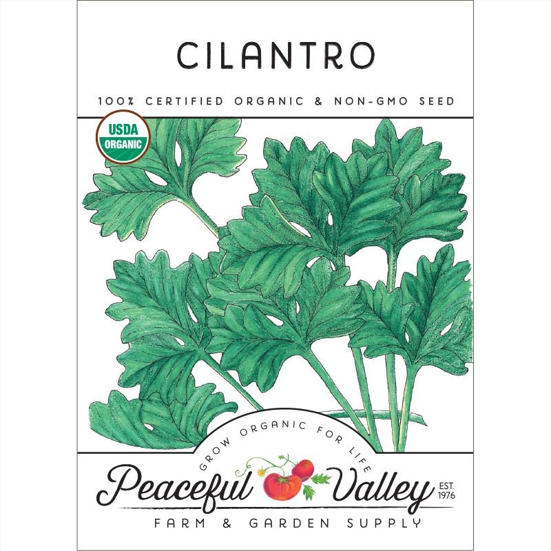 Organic Cilantro