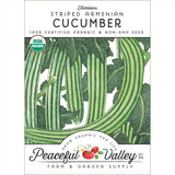 Striped Cucumber