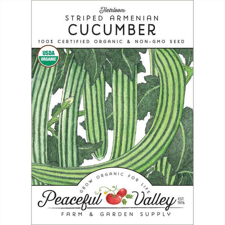 Striped Cucumber