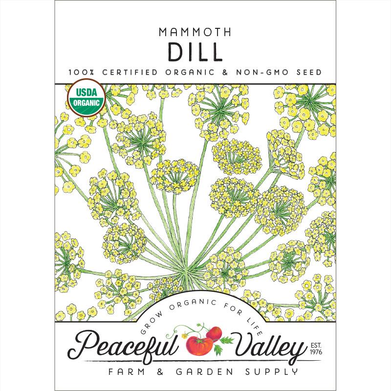Mammoth Dill