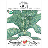 Lacinato Kale Seeds (Organic)