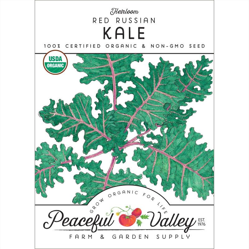 Red Russian Kale Seeds (Organic)