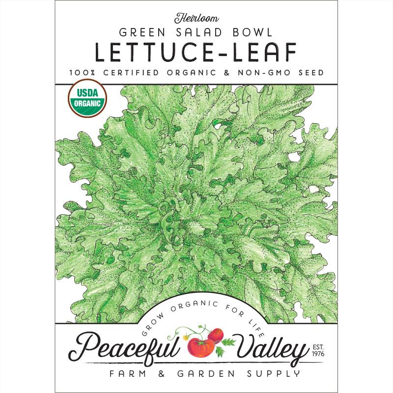 Green Salad Bowl Lettuce Seeds (Organic)