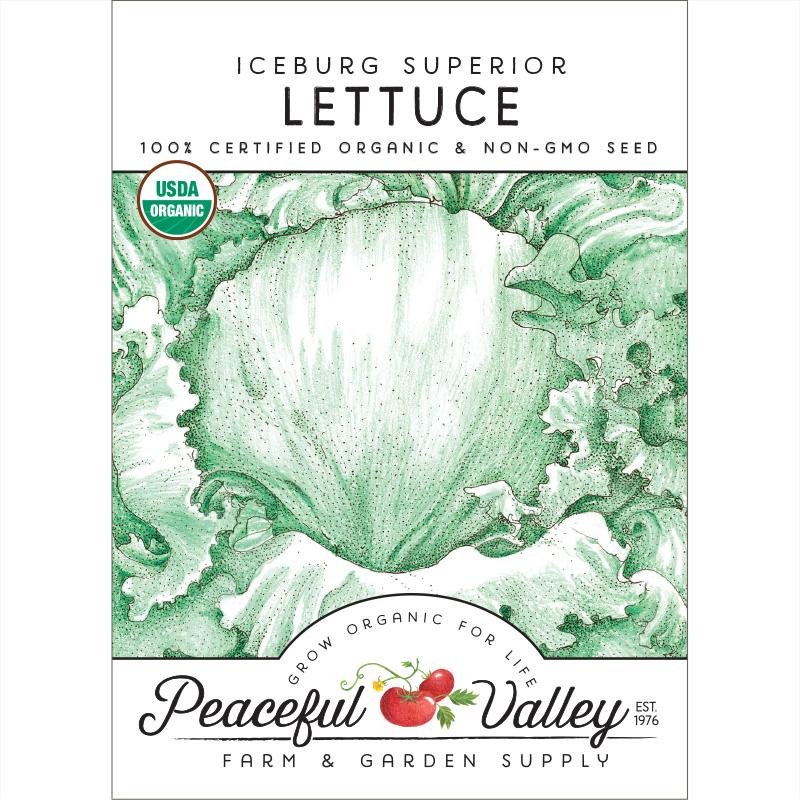 Iceberg Superior Lettuce Seeds (Organic)